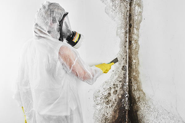 Mold removal with person in hazard suit